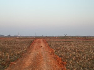  Plot For Sale in Sijua