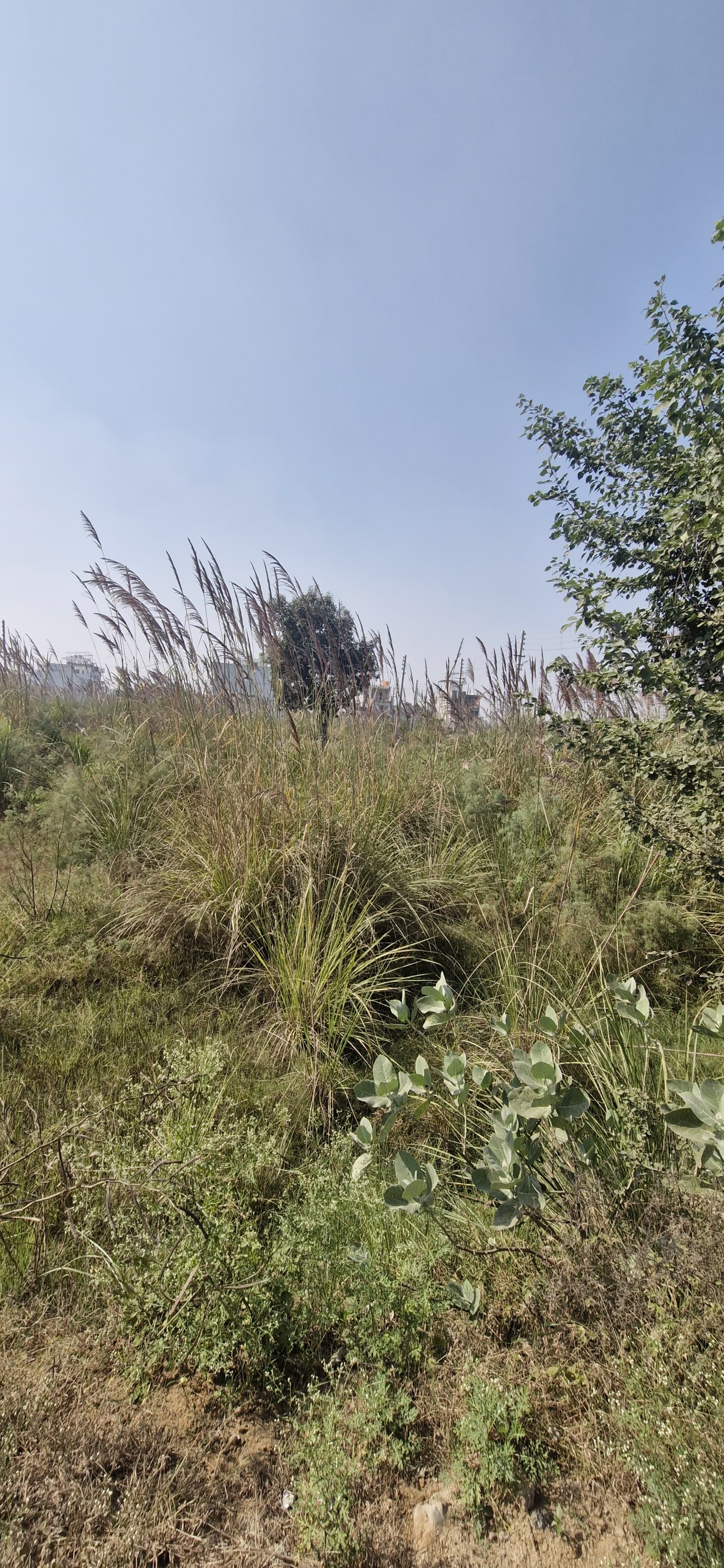 Plot For Sale in Sector 2