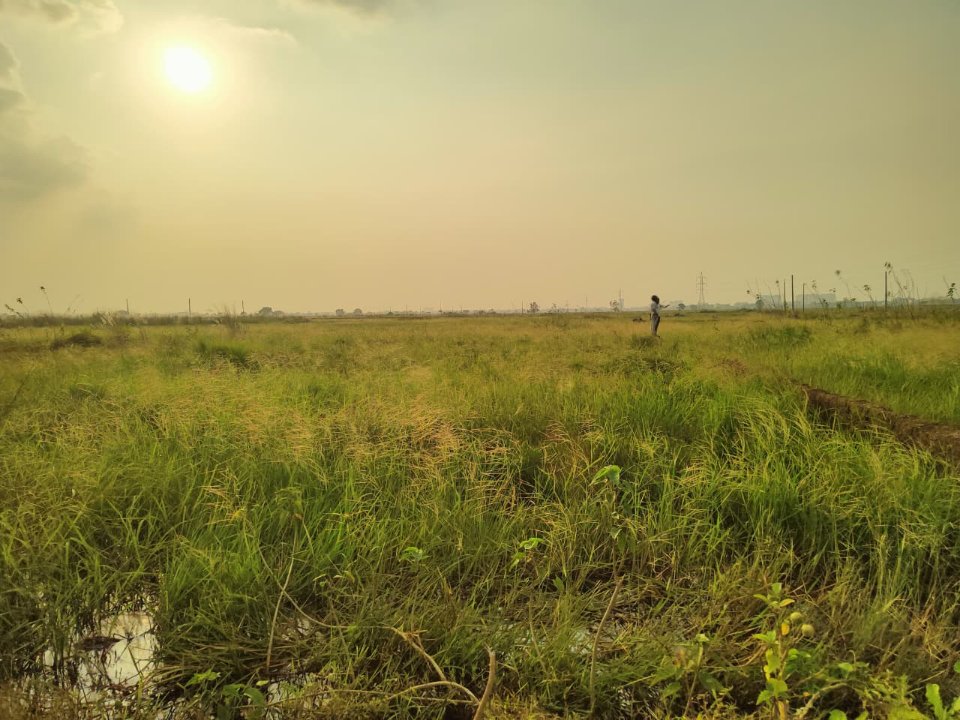 Plot For Sale in Safety Lands Estate 