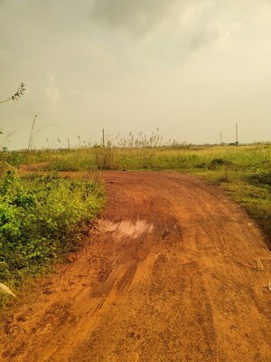  Plot – Nearby View at BhubaneswaR-Puri Highway - for Sale