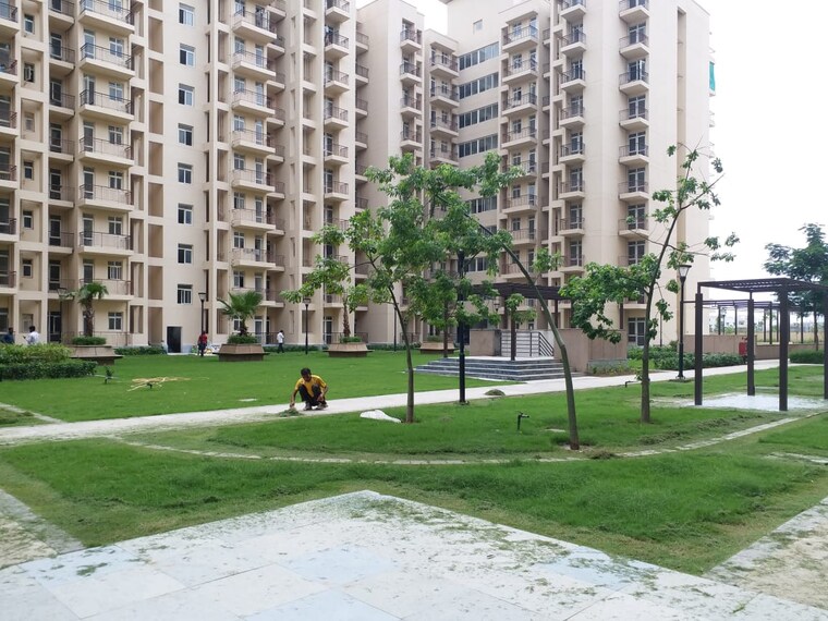 Exterior View, bptp-park-elite-premium 3.5 Bedroom 1232 Sq.Ft. Apartment In Sector 84 Faridabad 9545920