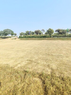  Plot For Sale in Omaxe City - Omaxe Heights, Sector 97