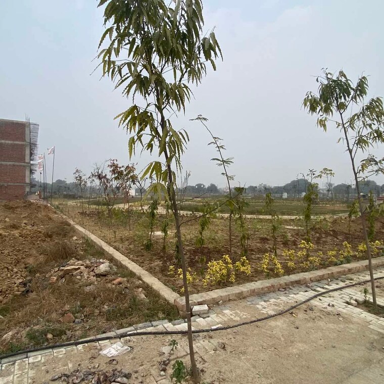 undefined, amolik-aster-woods  100 Sq.Yd. Plot In Sector 98 Faridabad 9546423