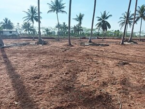Plot Area in  Land at Urban Elite Nelamangala, Nelamangala – for Sale