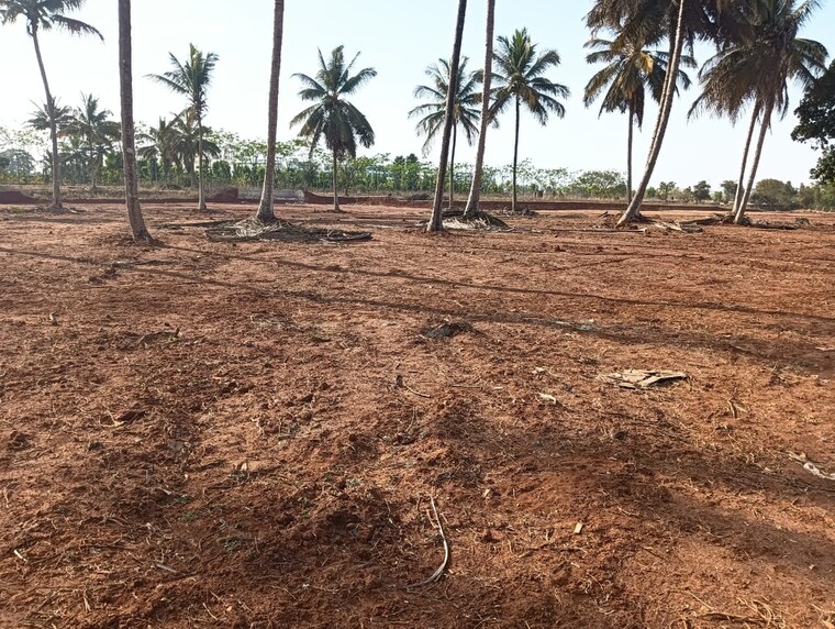 undefined, urban-elite-nelamangala Commercial Land 1 Acre In Nelamangala Bangalore 9546591