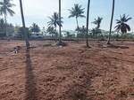 2 Acre Land in Urban Elite Nelamangala