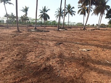 Plot Area in  Land at Urban Elite Nelamangala, Nelamangala – for Sale