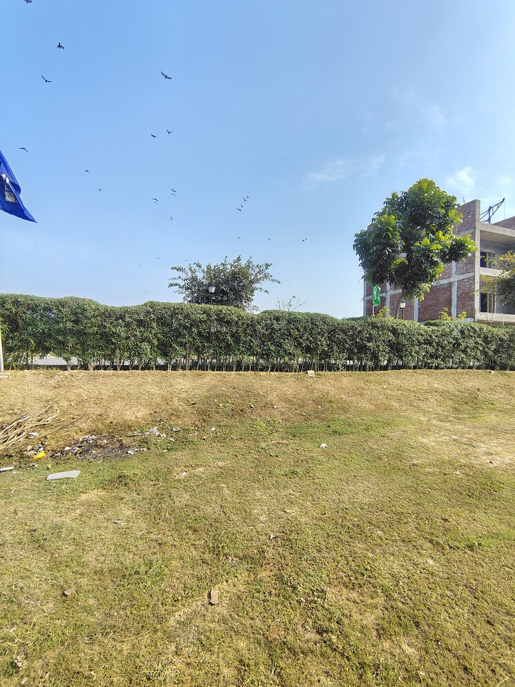 Garden, omaxe-city-omaxe-heights  1377 Sq.Ft. Plot In Sector 97 Faridabad 9387797
