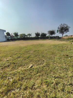  Plot – Garden View at Sector 97 - for Sale