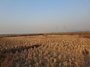 Plot Area in  Plot at Mandangad – for Sale