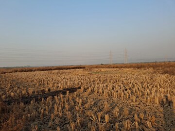 Plot Area in  Plot at Mandangad – for Sale