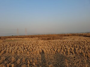 Plot Area in  Plot at Mandangad – for Sale