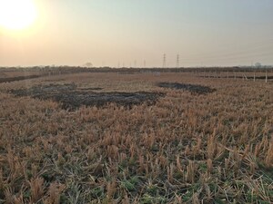 Plot Area in  Plot at Mandangad – for Sale