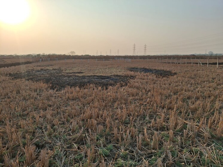 undefined, mandangad  2 Acre Plot In Mandangad Ratnagiri 9546925