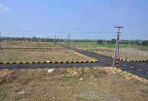  Plot For Sale in Sector 81