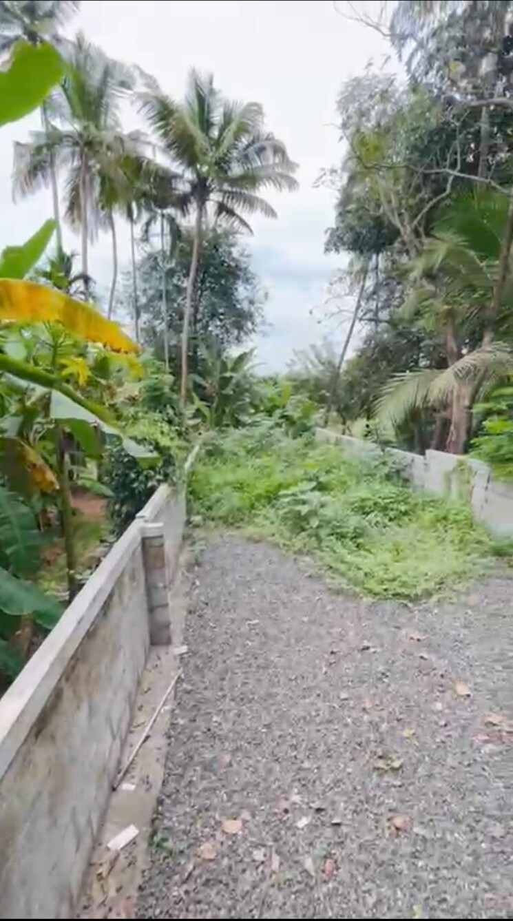 Balcony, cheroor 6+ Bedroom 5000 Sq.Ft. Builder Floor In Cheroor Thrissur 9547209