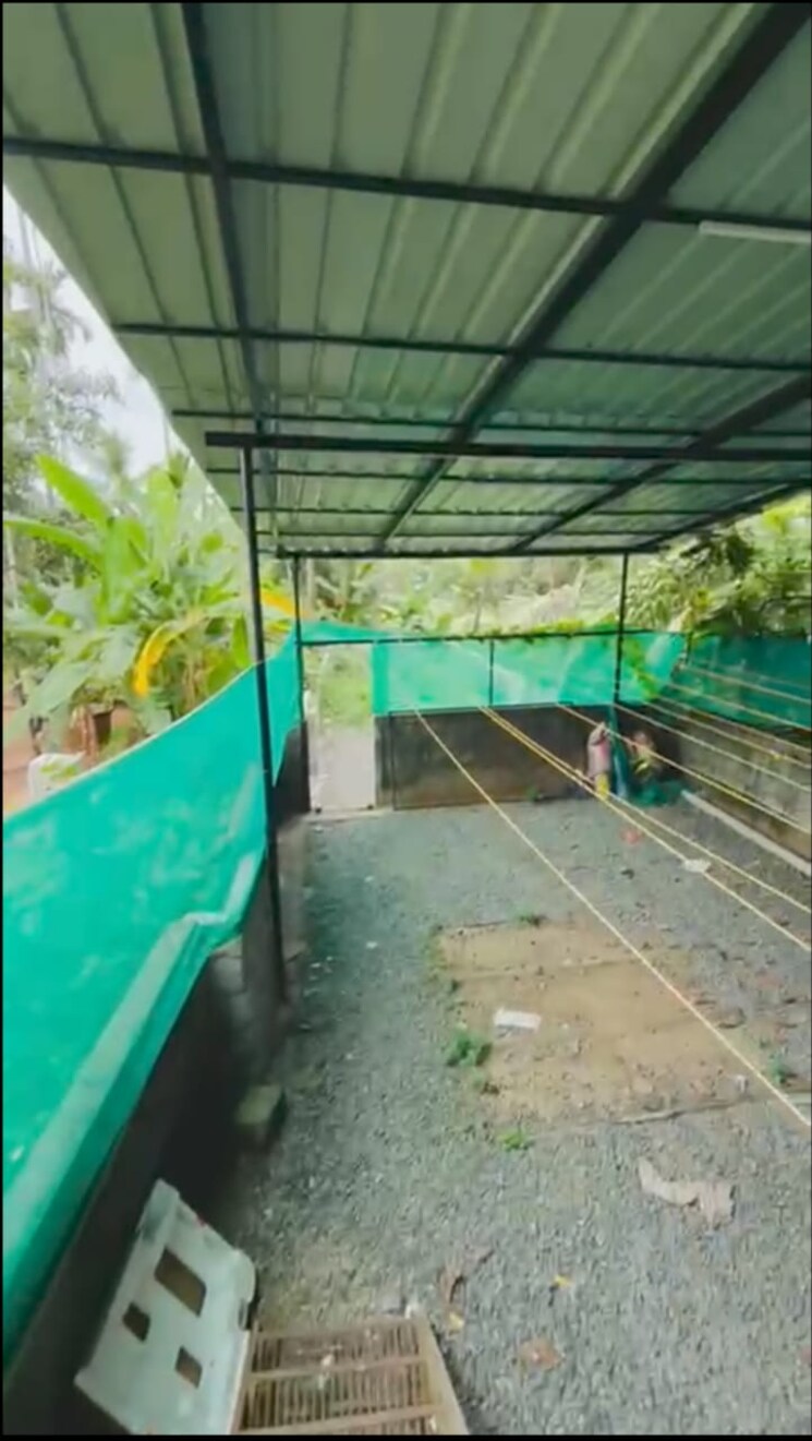 Swimming Pool, cheroor 6+ Bedroom 5000 Sq.Ft. Builder Floor In Cheroor Thrissur 9547209