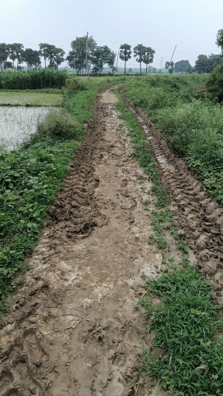 undefined, patna gaya road  4062 Sq.Ft. Plot In Patna   Gaya Road Patna 9547523