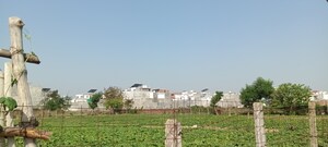 Plot Area in  Plot at Tiwaripur – for Sale