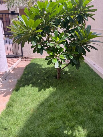 4 BHK Villa – Exterior View View at Pathardi - for Rent