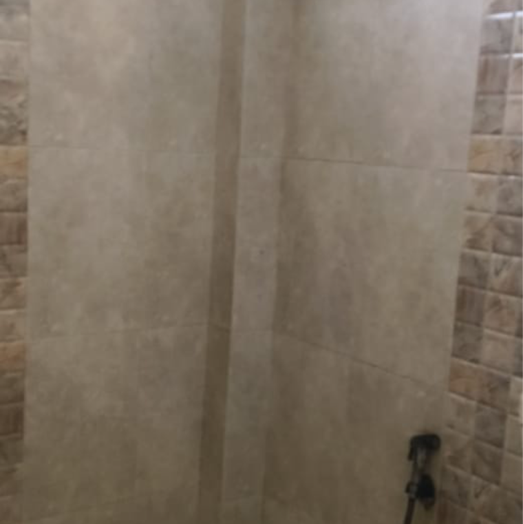 Bathroom, rwa-apartments-sector-50 3 Bedroom 1850 Sq.Ft. Builder Floor In Sector 50 Noida 9548470