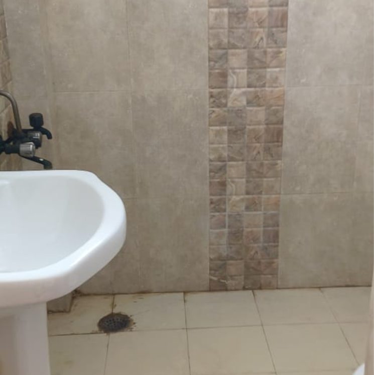 Bathroom, rwa-apartments-sector-50 3 Bedroom 1850 Sq.Ft. Builder Floor In Sector 50 Noida 9548470