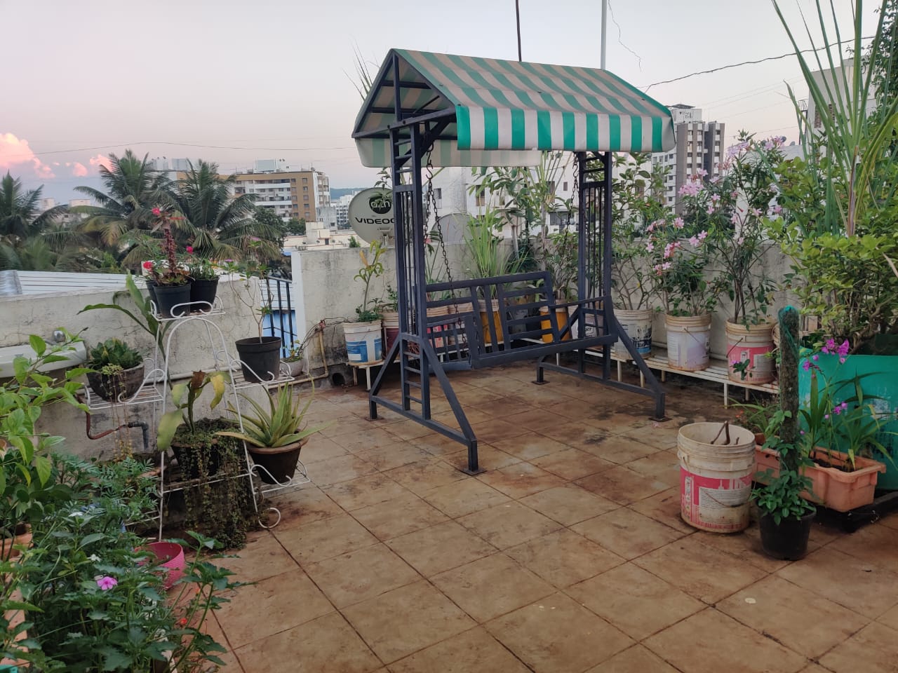 1 BHK Apartment For Rent in Silverwoods Apartment