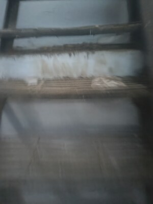 Floor Plan in  Warehouse at Kurla West – for Rent