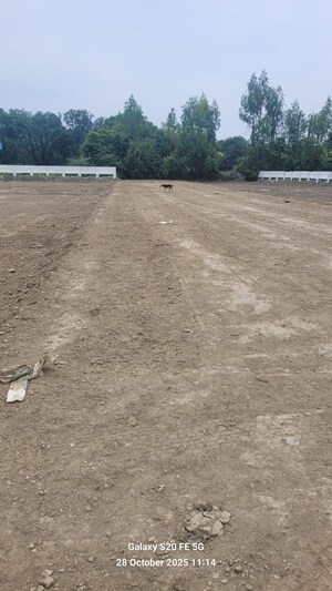 Plot Area in  Plot at Kalli Paschim – for Sale