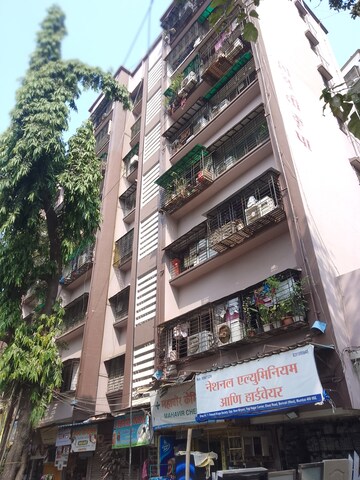 1 BHK Apartment For Rent in Trimurti Krupa CHS, Borivali West