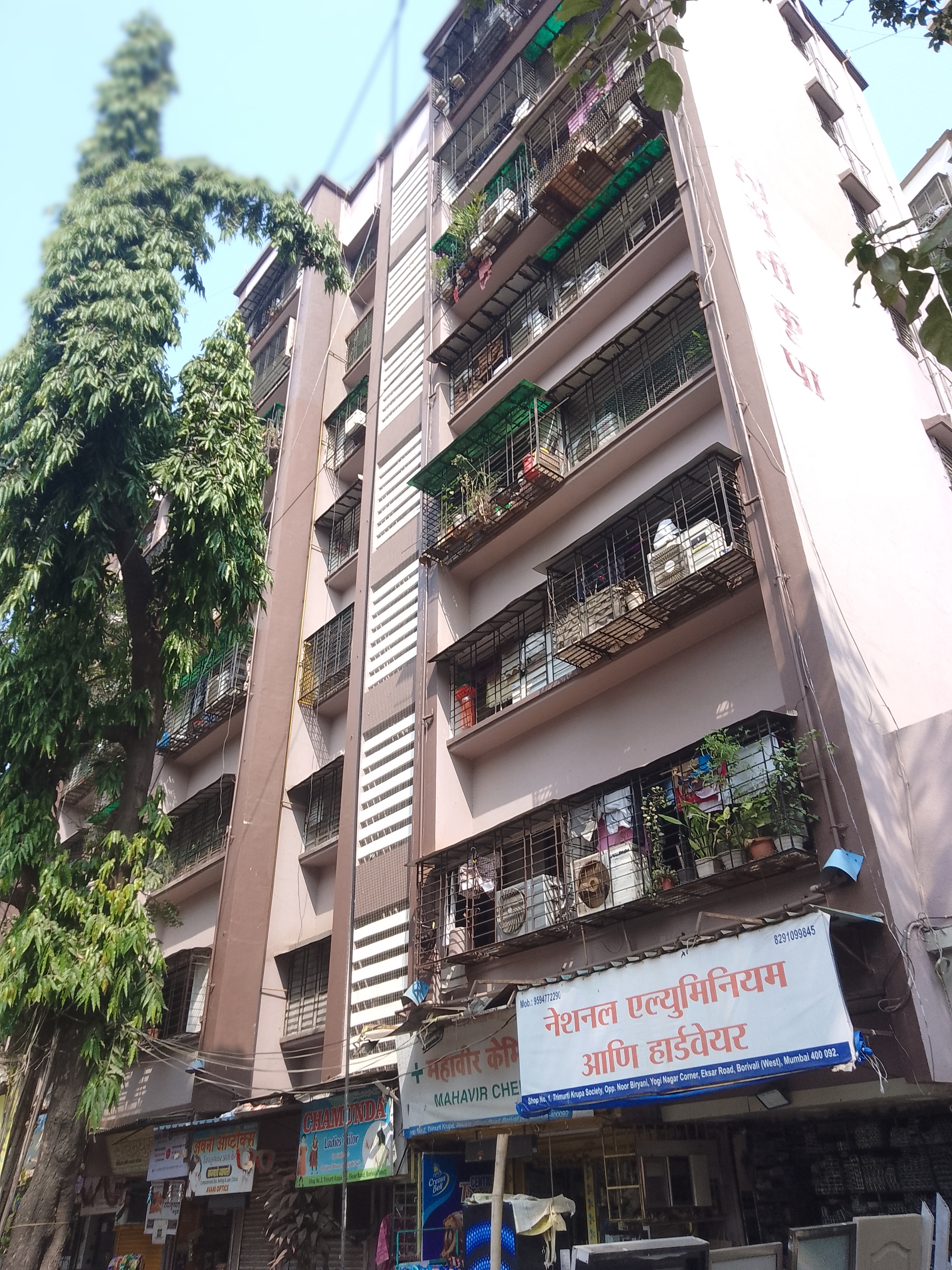 1 BHK Apartment For Rent in Trimurti Krupa CHS