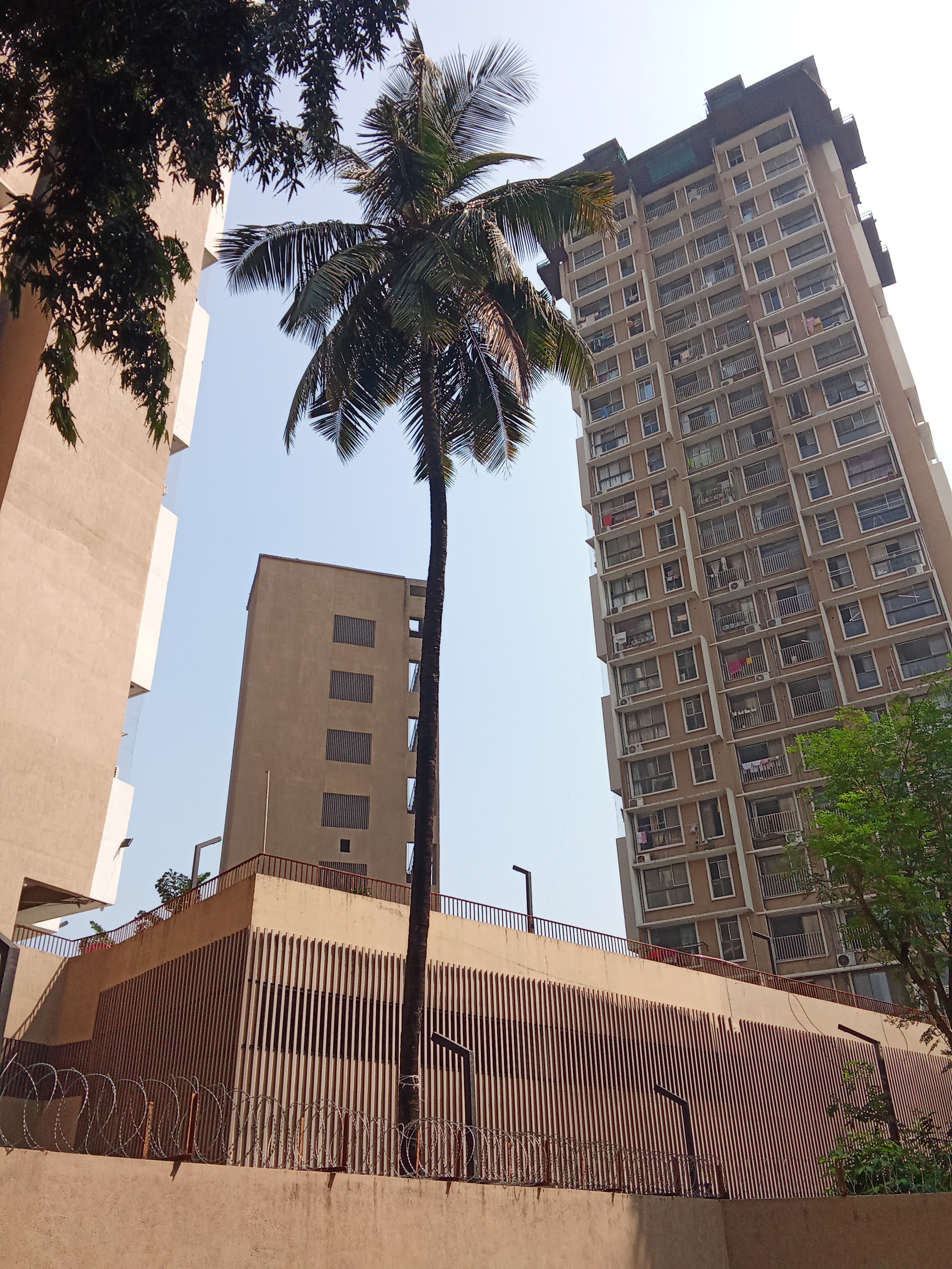 1 BHK Apartment For Rent in Kolte Patil Vaayu