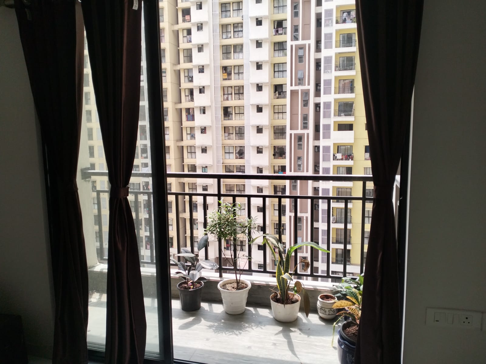 1 BHK + Extra Room Apartment For Rent in Regency Anantam