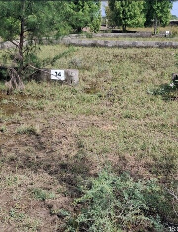 Plot Area in  Plot at Dholera – for Sale