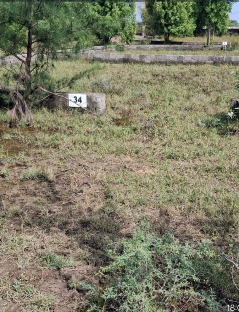 undefined, dholera  298 Sq.Yd. Plot In Dholera Ahmedabad 9549096