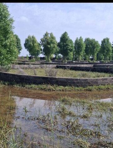  Plot For Sale in Dholera