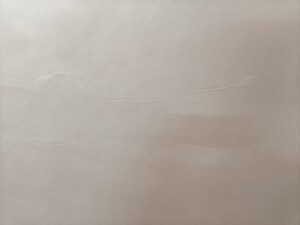 Room in 3 BHK Apartment at Shiv Darshan Wakad, Wakad – for Rent