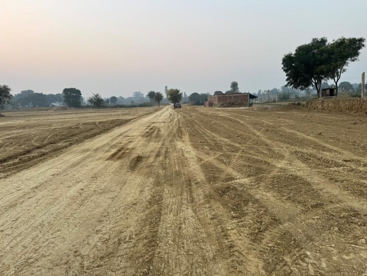 undefined, sultanpur road  1100 Sq.Yd. Plot In Sultanpur Road Lucknow 9549609