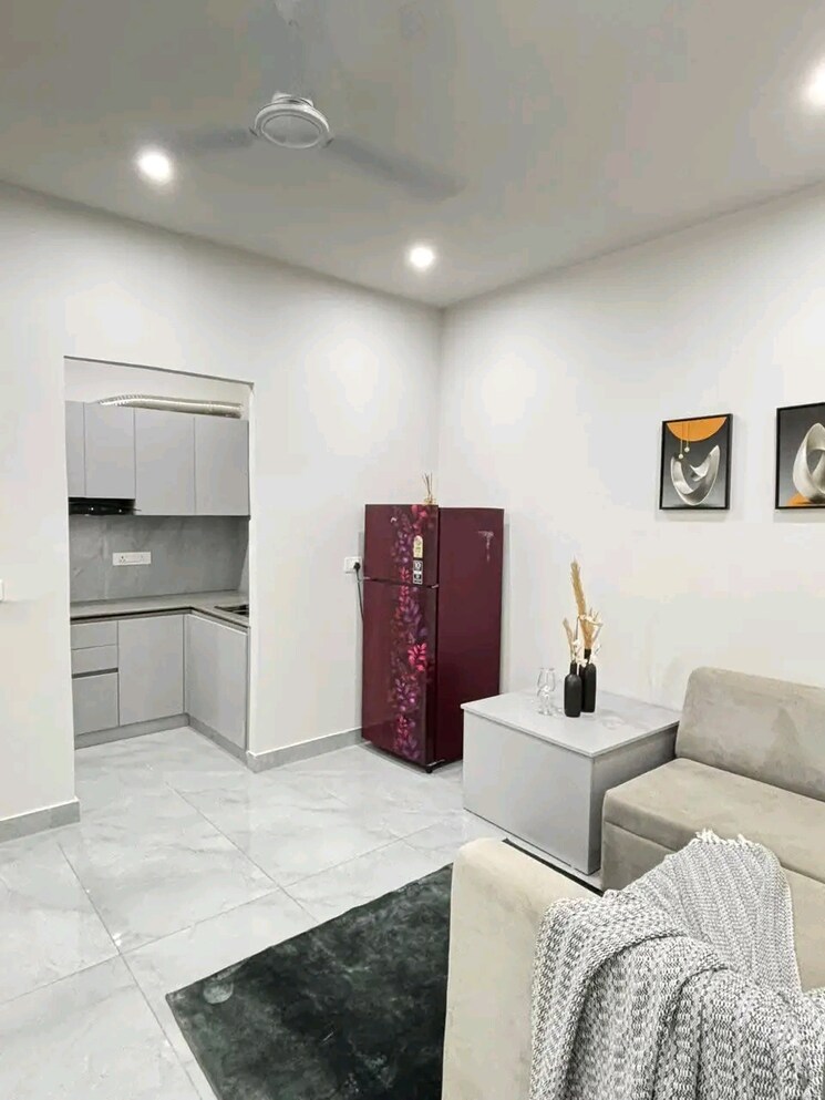 Living Room, chattarpur 1 Bedroom 500 Sq.Ft. Apartment In Chattarpur Delhi 9549649
