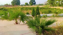 Plot For Sale in Bisht Property 