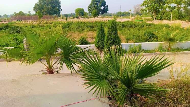 Garden, sultanpur road  2500 Sq.Yd. Plot In Sultanpur Road Lucknow 9549828