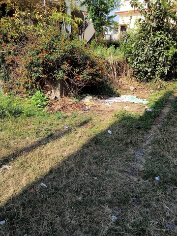 Plot Area in  Plot at Badripur – for Sale