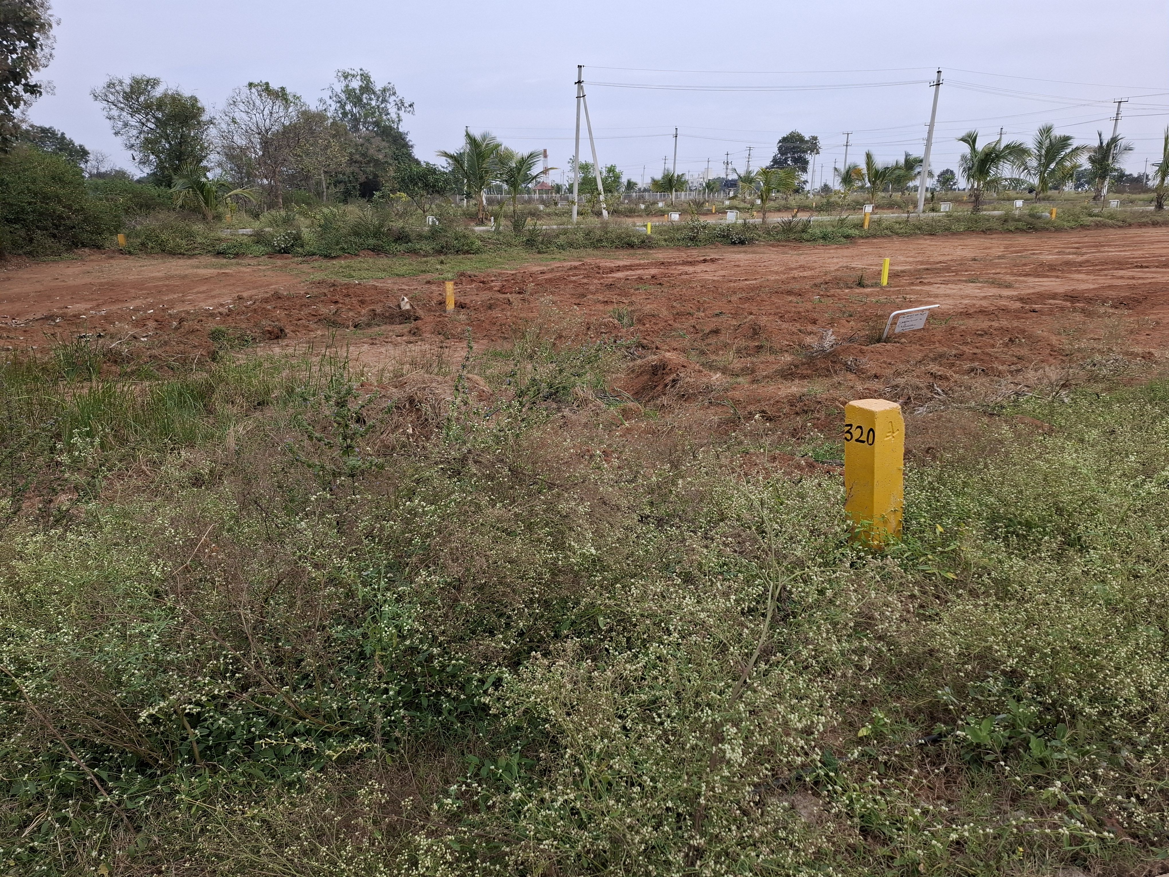 Plot For Sale in Iconic 2