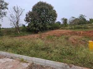 Plot Area in  Plot at Shadnagar – for Sale