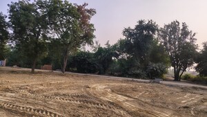 Plot Area in  Plot at Mohanlalganj – for Sale