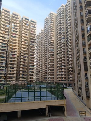 1 BHK Apartment For Rent in Gaur City 2 - 14th Avenue, Sector 16c Greater Noida
