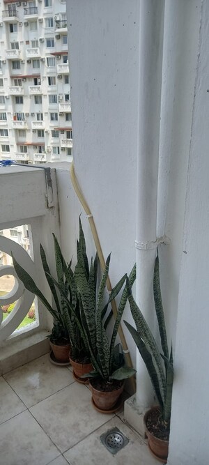 3 BHK Apartment – Exterior View View at Dlf New Town Heights, Rajarhat New Town - for Sale