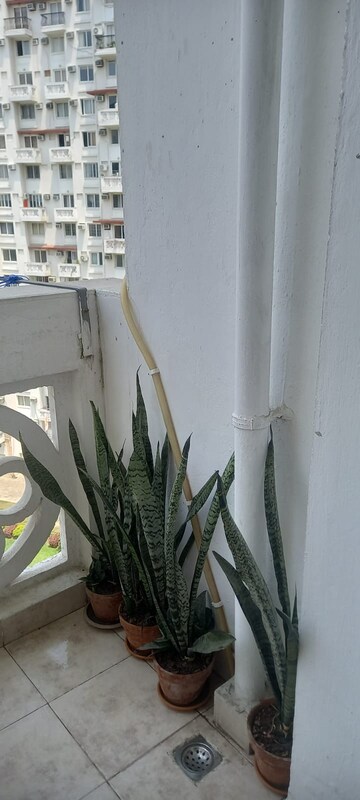 3 BHK Apartment – Exterior View View at Dlf New Town Heights, Rajarhat New Town - for Sale