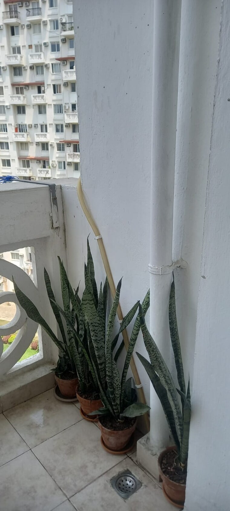 Exterior View, dlf-new-town-heights 3 Bedroom 1940 Sq.Ft. Apartment In Rajarhat New Town Kolkata 9550579