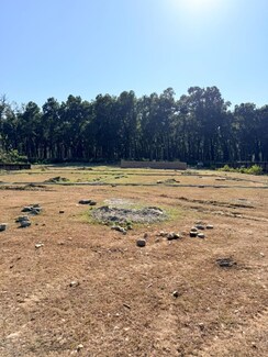 Plot For Sale in Shimla Bypass Road